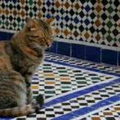 nahnahlechat
