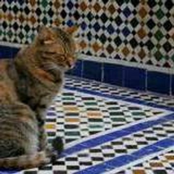 nahnahlechat