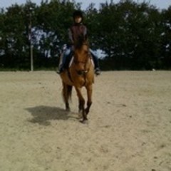 lelotte44