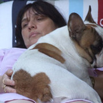 Brigitte Molosse Land