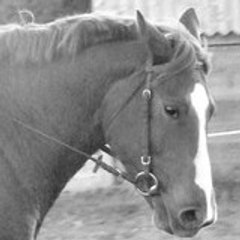 melpret29