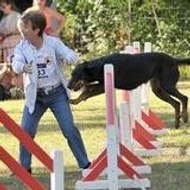 Mireille DOUFFIAGUES