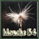 http //mouche54.free.fr