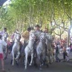 lunel-fete
