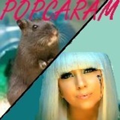 popcaram