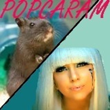 popcaram
