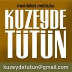 kuzeydetutun