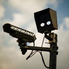 zerbino