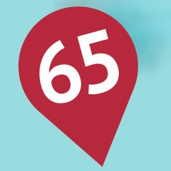 LE 65
