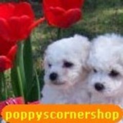 PoppysCornerShop