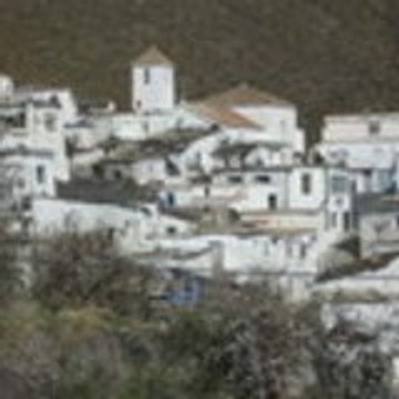 oluladecastro