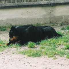 marion1659
