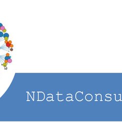 nDataConsulting