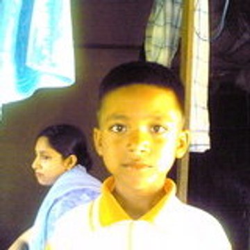 Dragon _Team