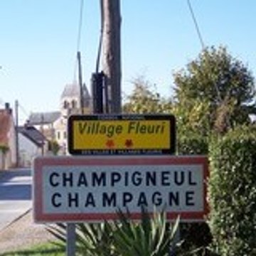 CHAMPI51