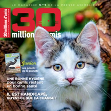 Animaux-Online.com