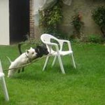 AGILITY5042