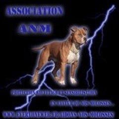 Association ANM