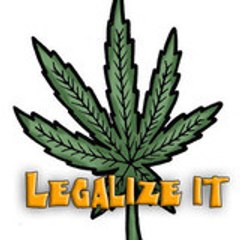 -lunatik-kamikaze
