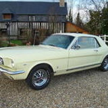 stang14