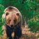 nounours3324