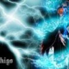 hitsugaya-sama///kakushi-sama