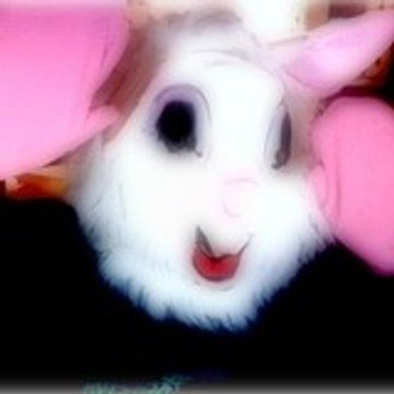 Lapin Elengi