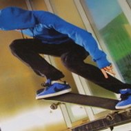 skaterdu31