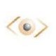 Visual Planet Ltd