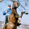Stunt_Rider