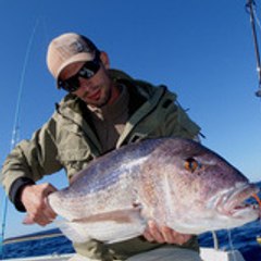 Romain Capanni