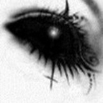 echo-dange