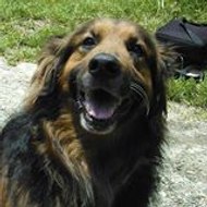 Marcelo Ravelo Troiano