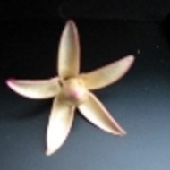 Ramon S. Matallin Silvestre