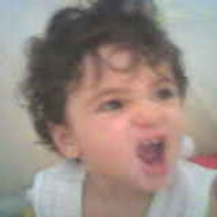 silam_mehmet
