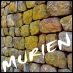 murien