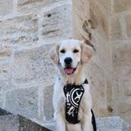 Christelle Schneider