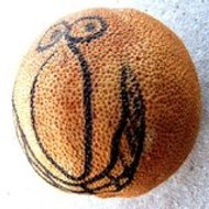 Κωστής Μπασογιάννης