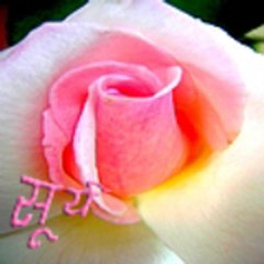 Shiv Kumar Surya