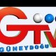 Güneydoğu TV