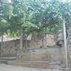 ulefqi tifrit