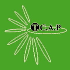 Le cabinet de curiosité