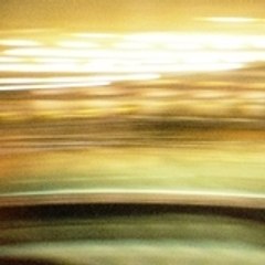 the Salmon and the Bear