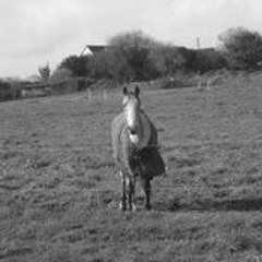 la_fOlle-des-chvO