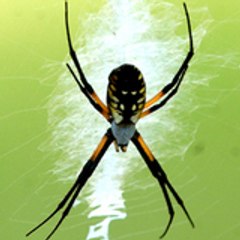 Stillwater NewsPress