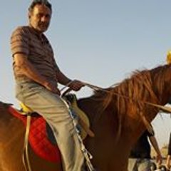 Shakeel sah