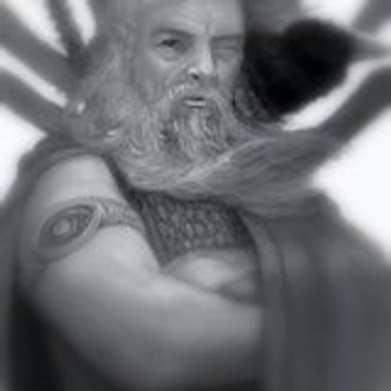 stephanum
