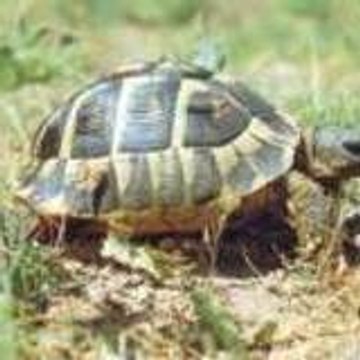 mouvement démocrate Dordogne