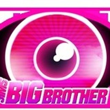 Big Brother Sims
