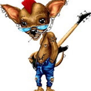TiTi_BMX